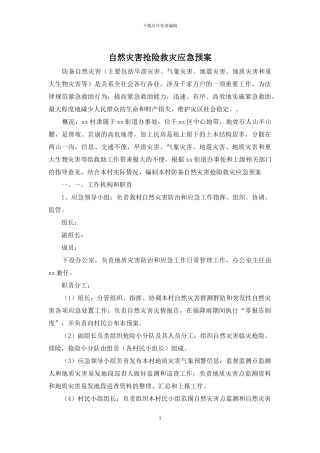 自然灾害抢险救灾应急预案