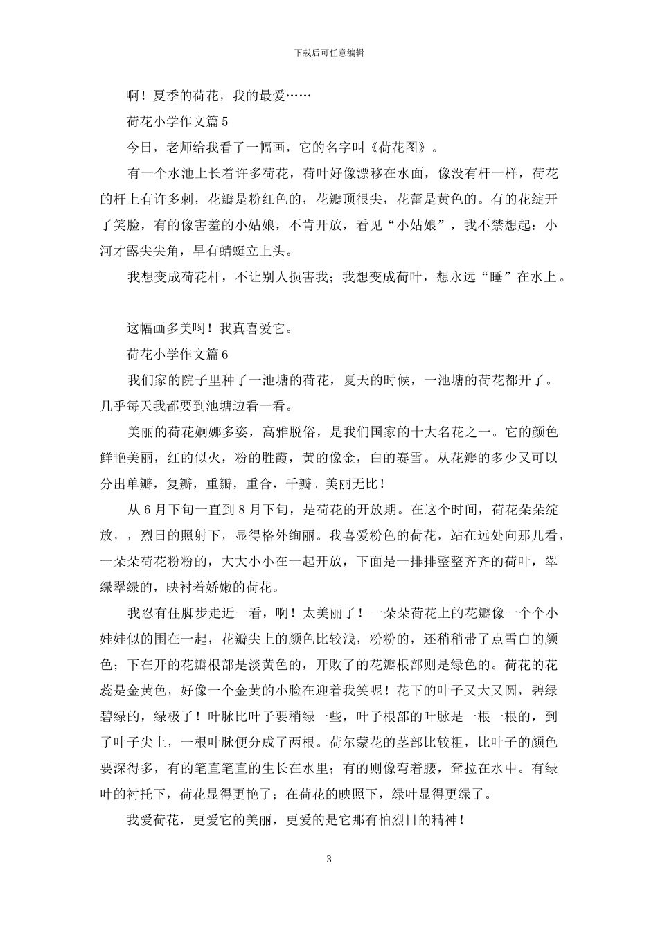 荷花小学作文八篇_第3页