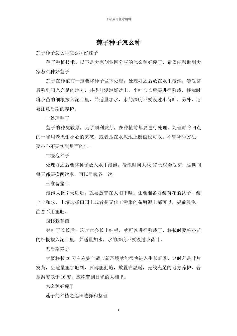 莲子种子怎么种_第1页