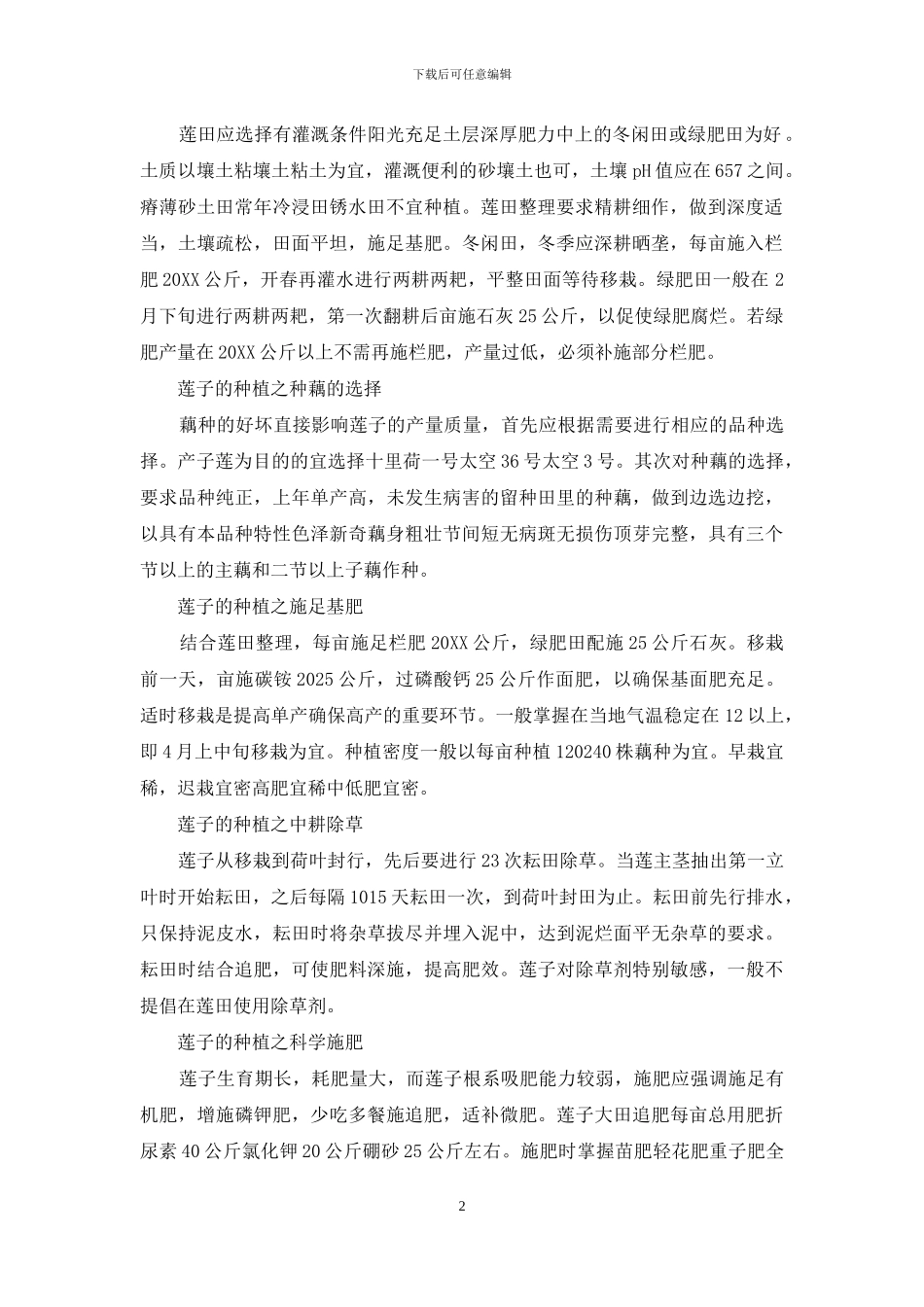 莲子种子怎么种_第2页