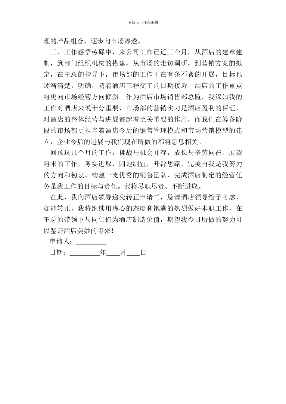 营销总监申请书_第3页