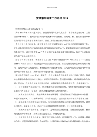 营销策划转正工作总结2024