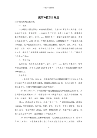 蔬菜种植项目规划