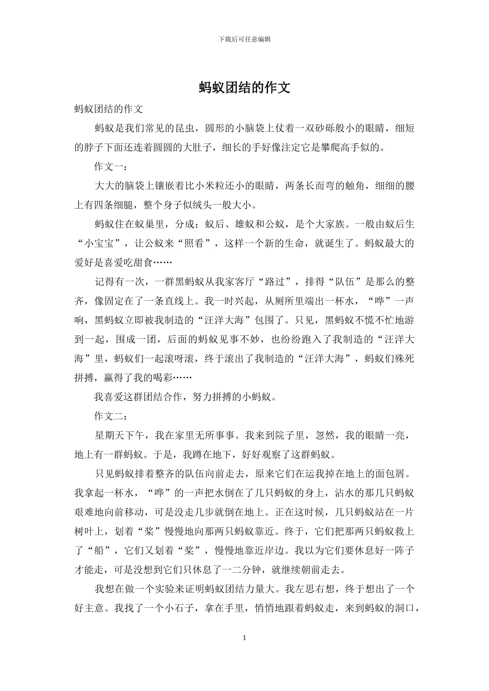 蚂蚁团结的作文_第1页