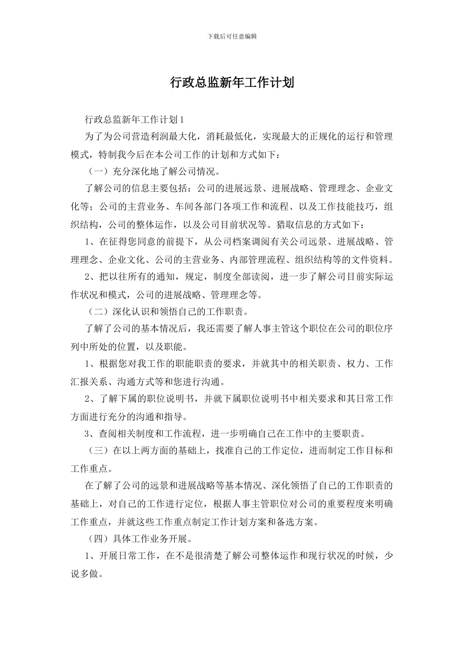 行政总监新年工作计划_第1页