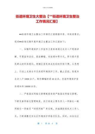 街道环境卫生大整治