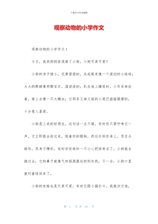 观察动物的小学作文