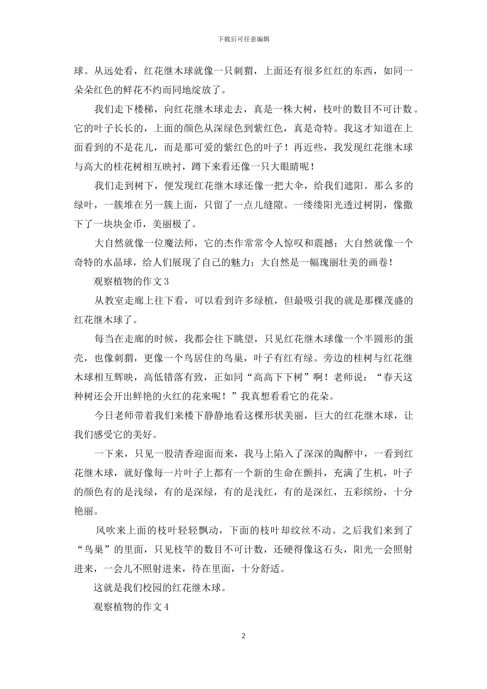 观察植物的作文汇编15篇_第2页