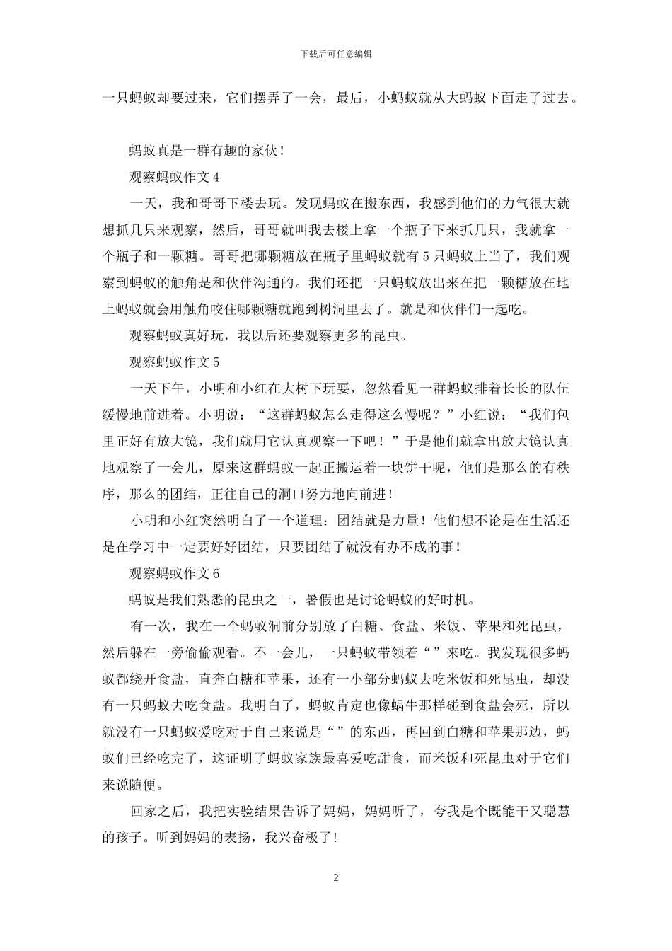 观察蚂蚁作文集合15篇_第2页