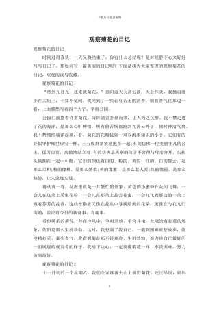 观察菊花的日记