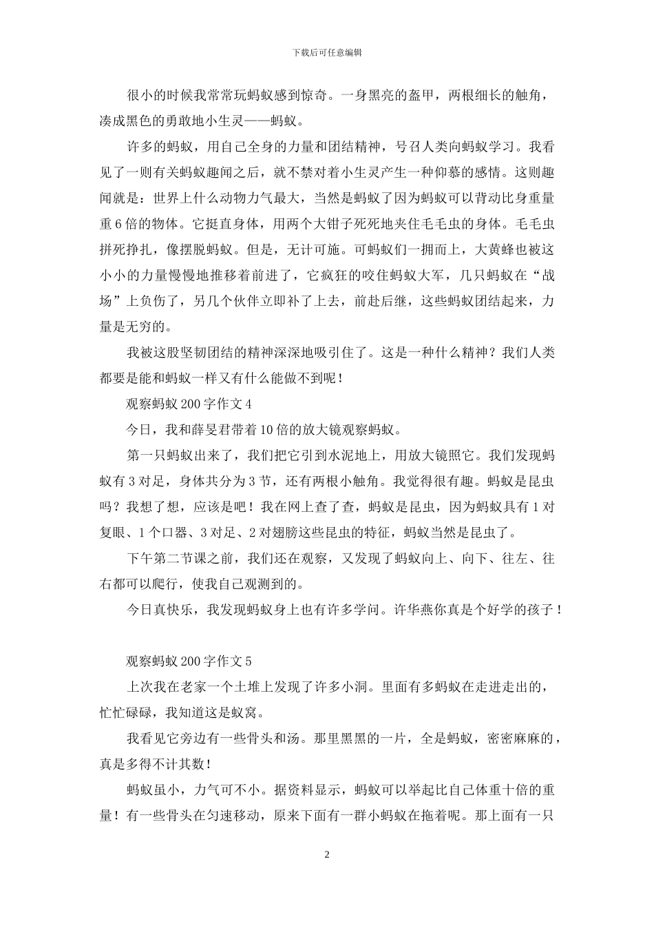 观察蚂蚁200字作文_第2页