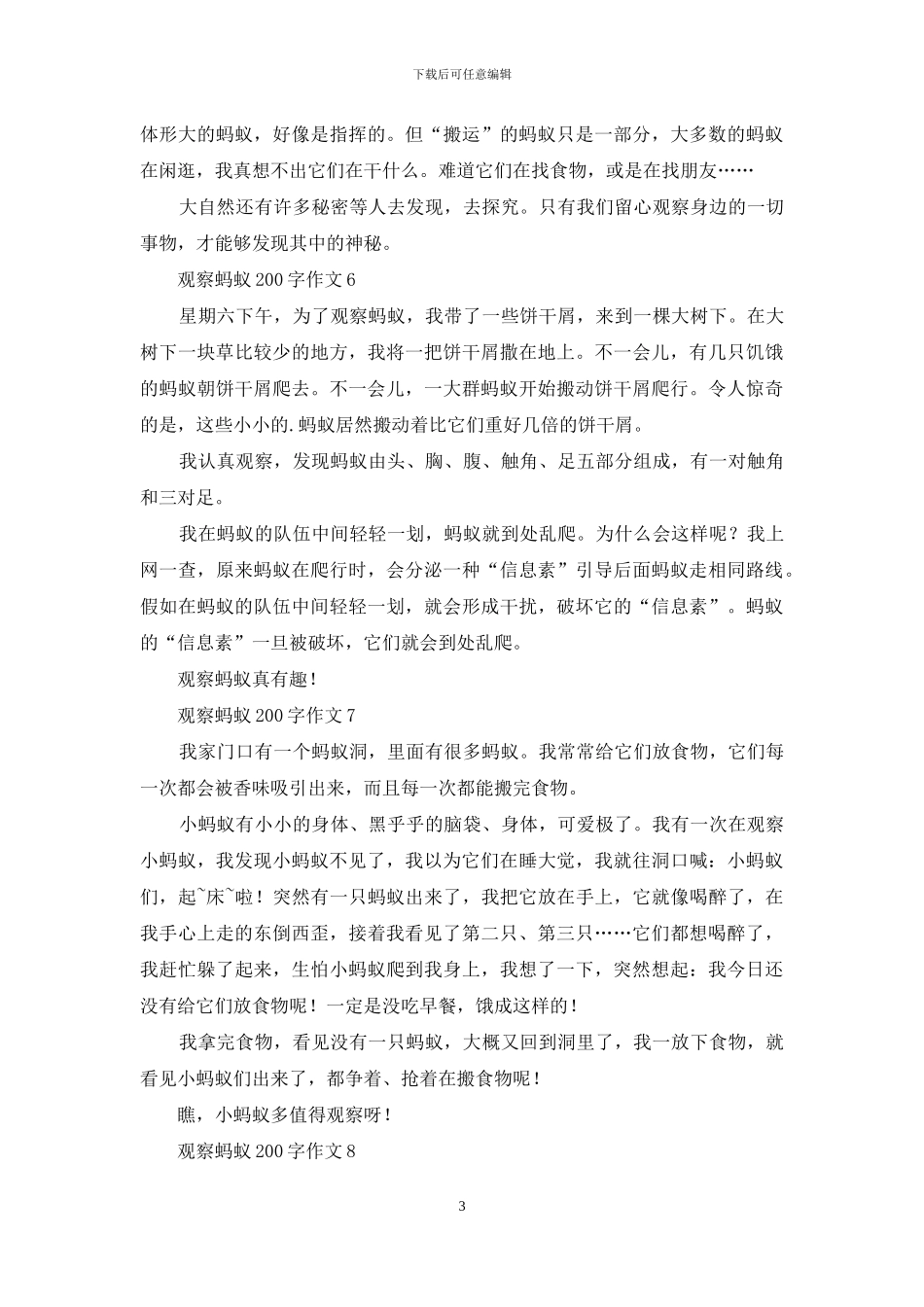 观察蚂蚁200字作文_第3页