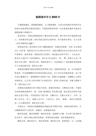 触摸城市作文800字