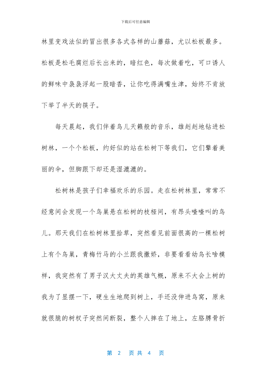 记忆松树林抒情散文_第2页