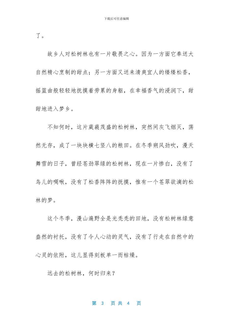 记忆松树林抒情散文_第3页