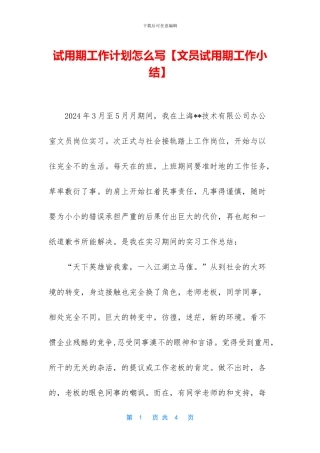 试用期工作计划怎么写