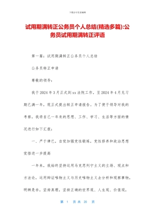 试用期满转正公务员个人总结