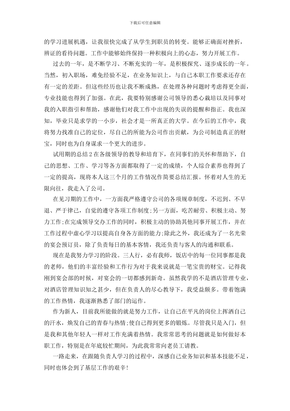 试用期的年底考核工作总结_第2页