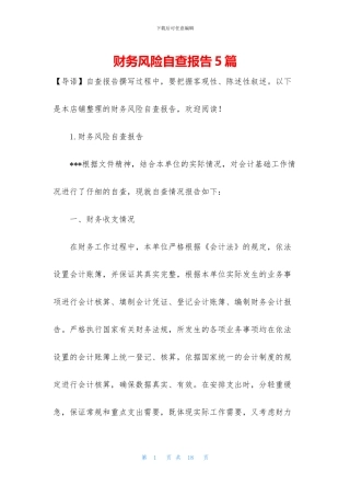 财务风险自查报告5篇