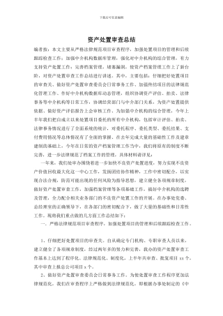 资产处置审查总结