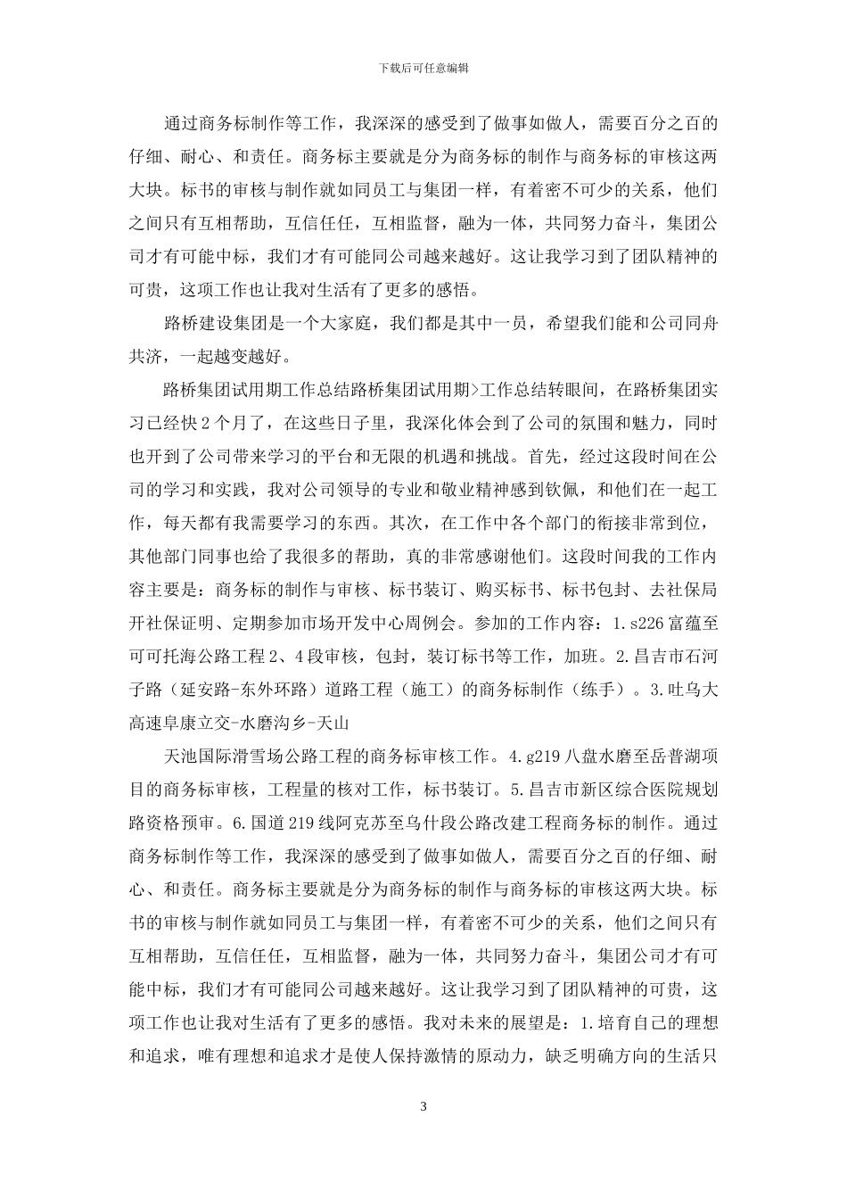路桥集团试用期工作总结_第3页