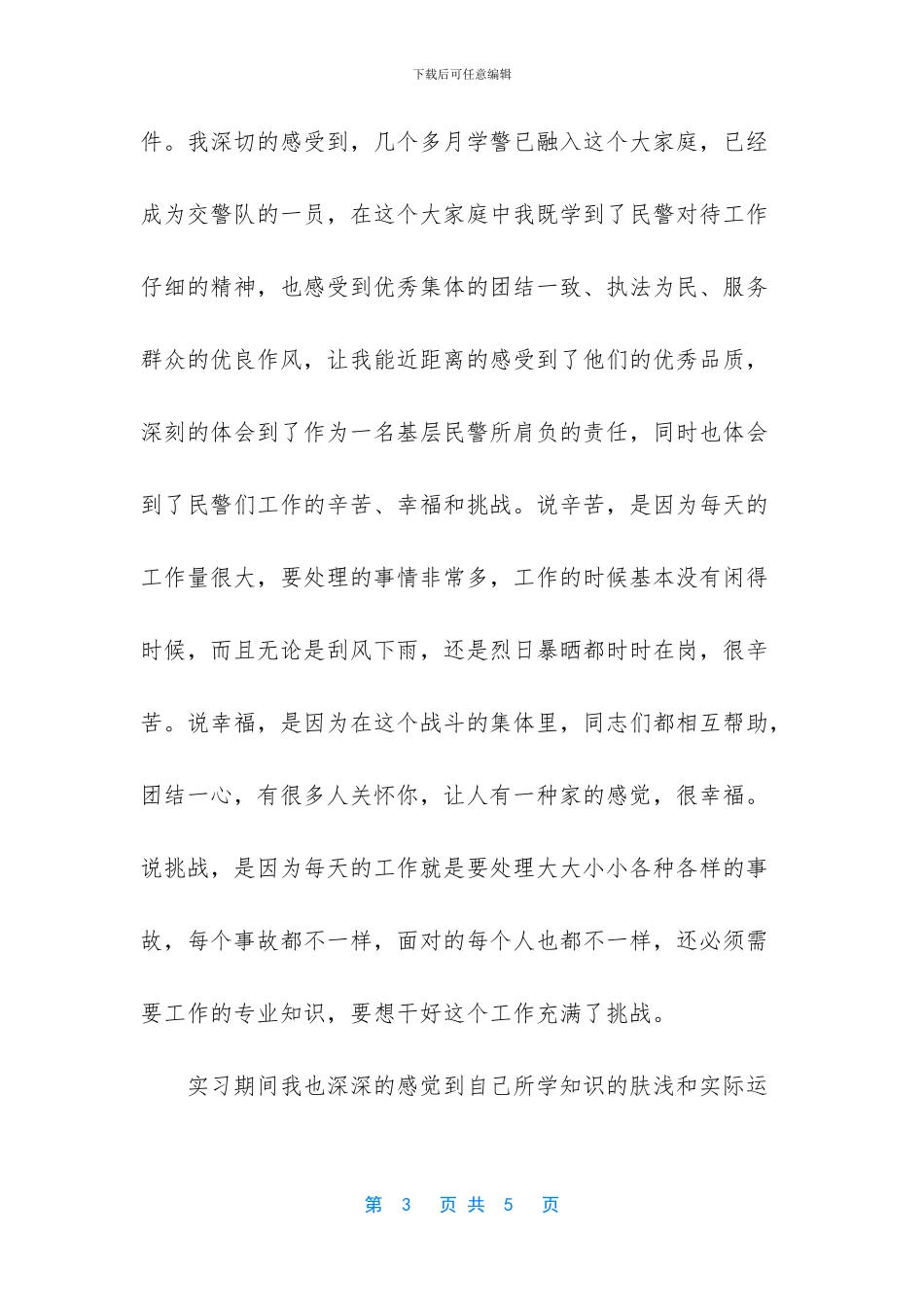 路面执勤交警实习报告_第3页