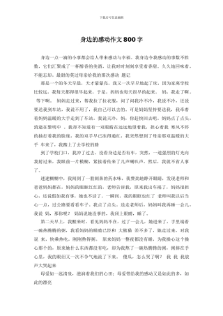 身边的感动作文800字