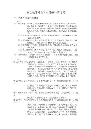 颈部血管神经的一般概况