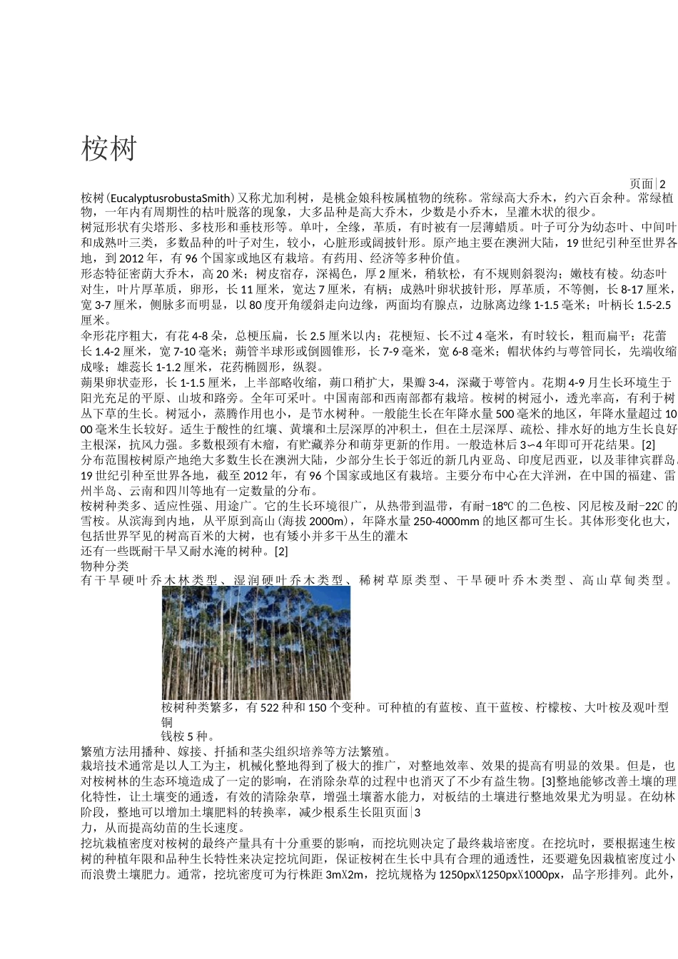 桉树的种植：_第2页