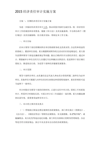 2015经济责任审计实施方案