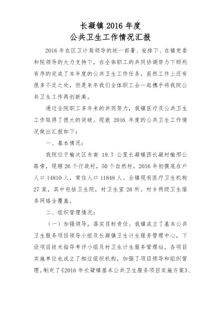 2016年工作进展报告