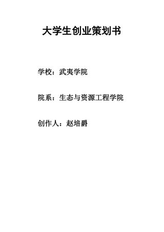 2017大学生创业策划书