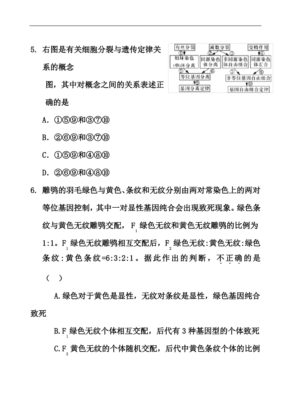 2017届北京高三生物期末分类汇编之7遗传和遗传图谱_第3页