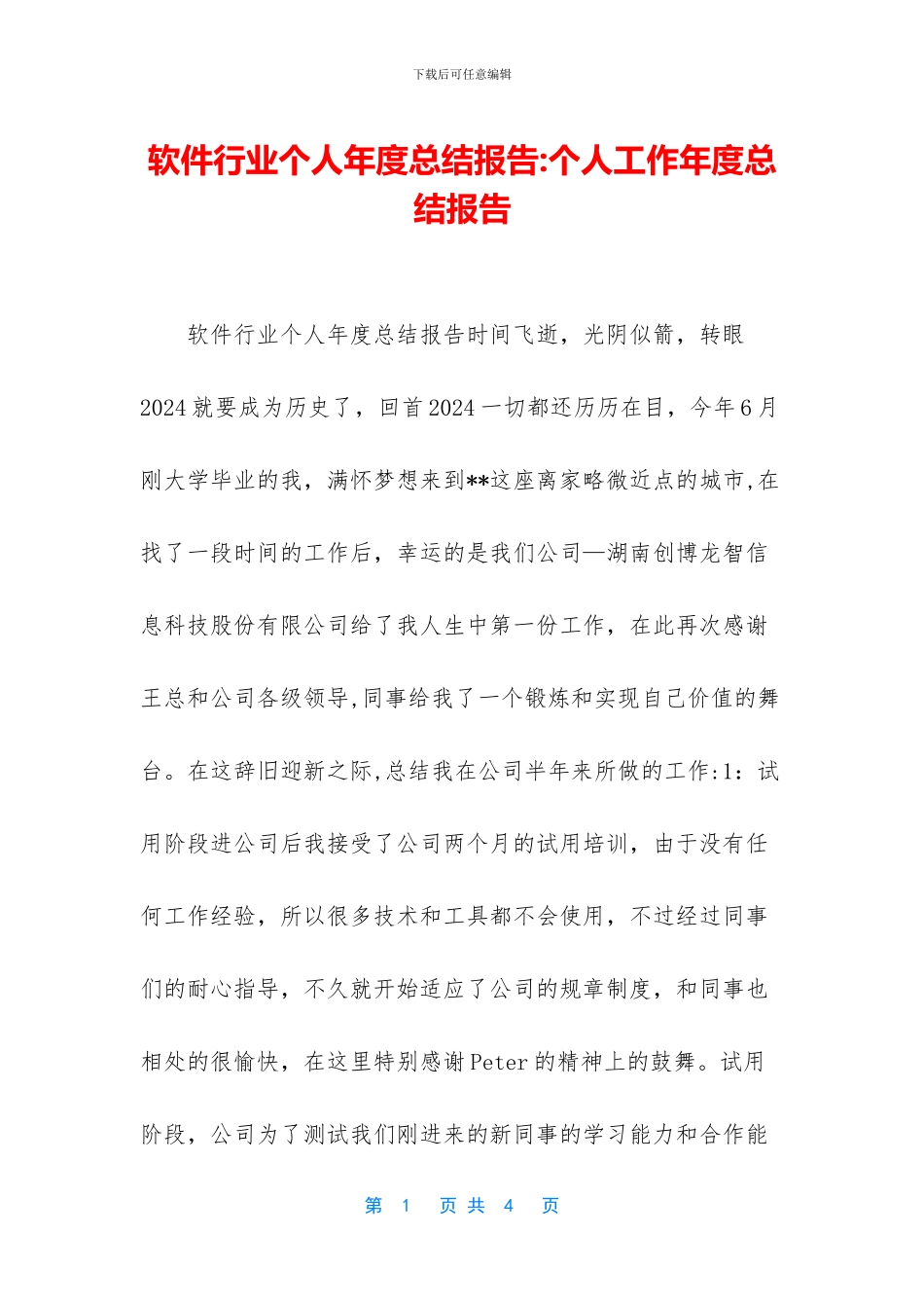 软件行业个人年度总结报告_第1页