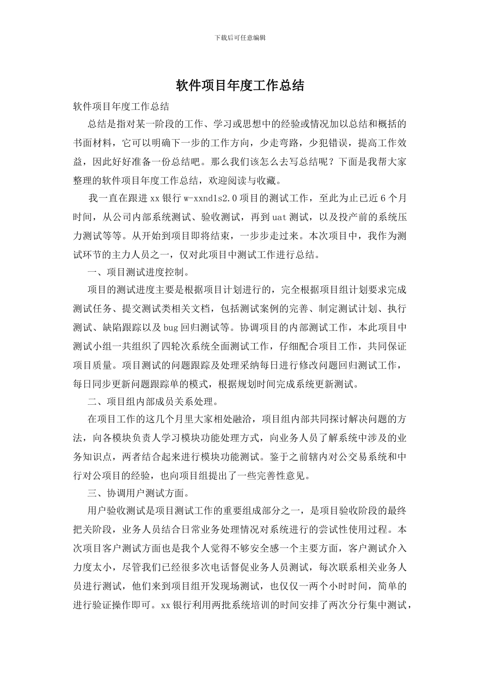 软件项目年度工作总结_第1页