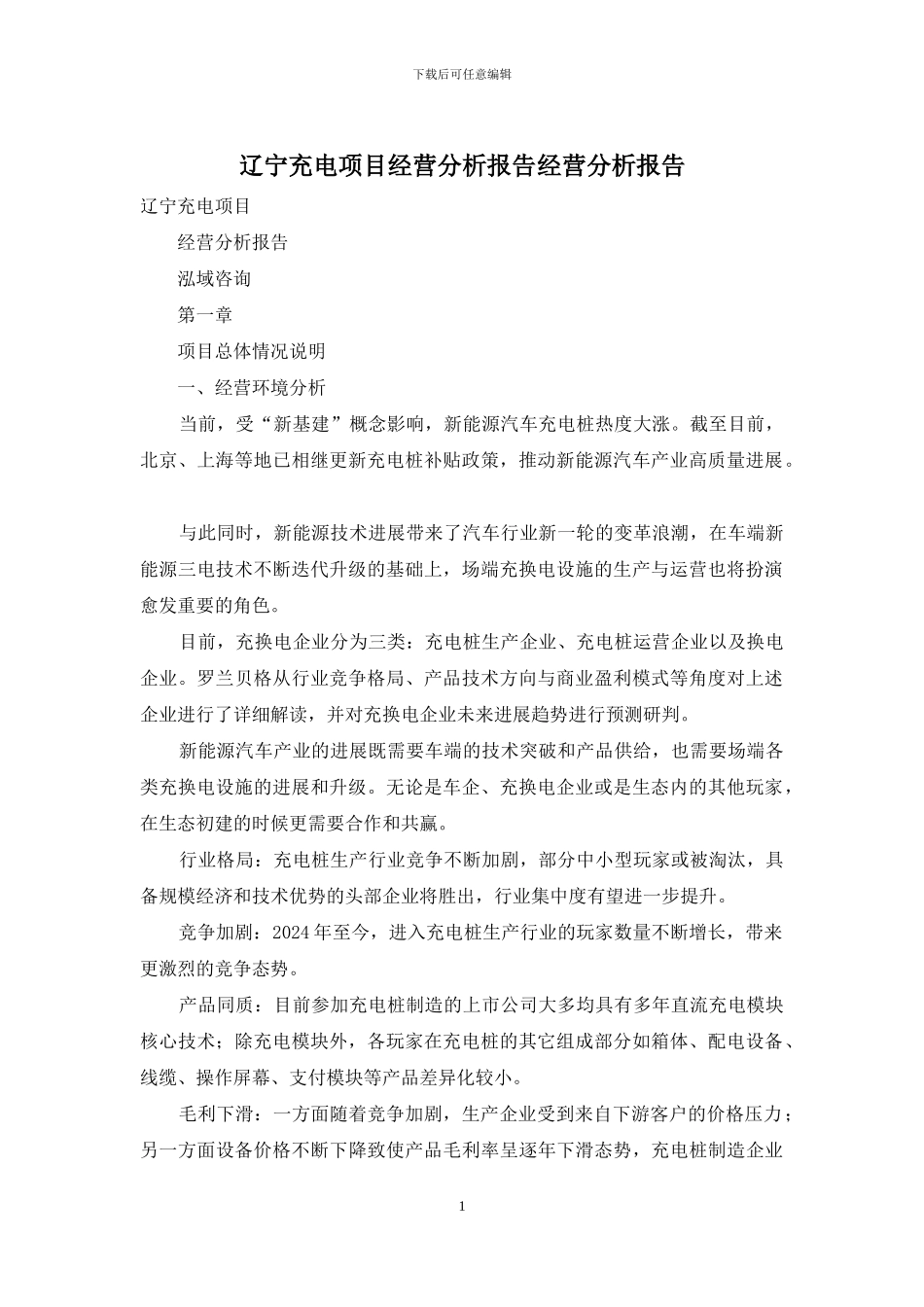 辽宁充电项目经营分析报告经营分析报告_第1页