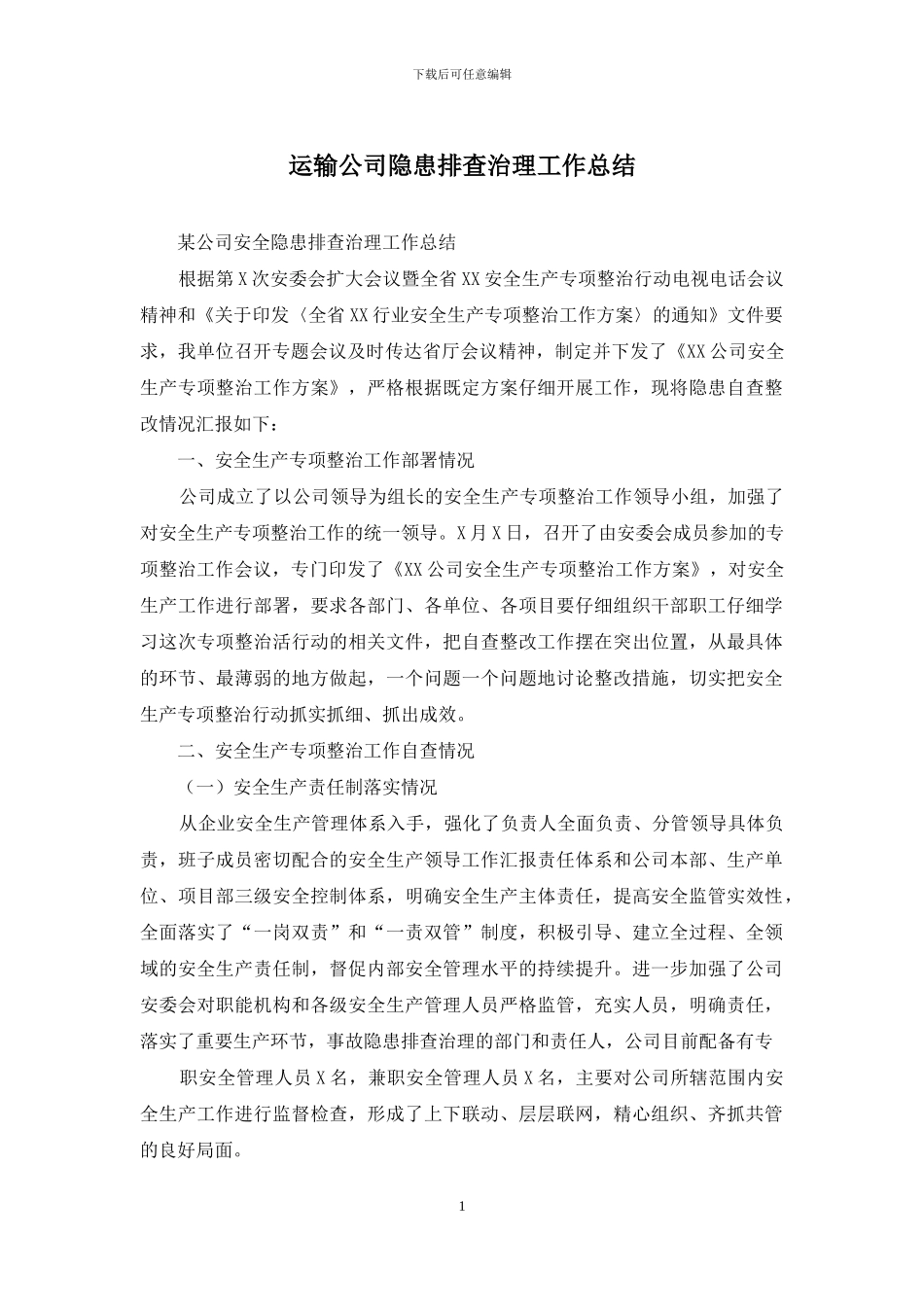 运输公司隐患排查治理工作总结_第1页