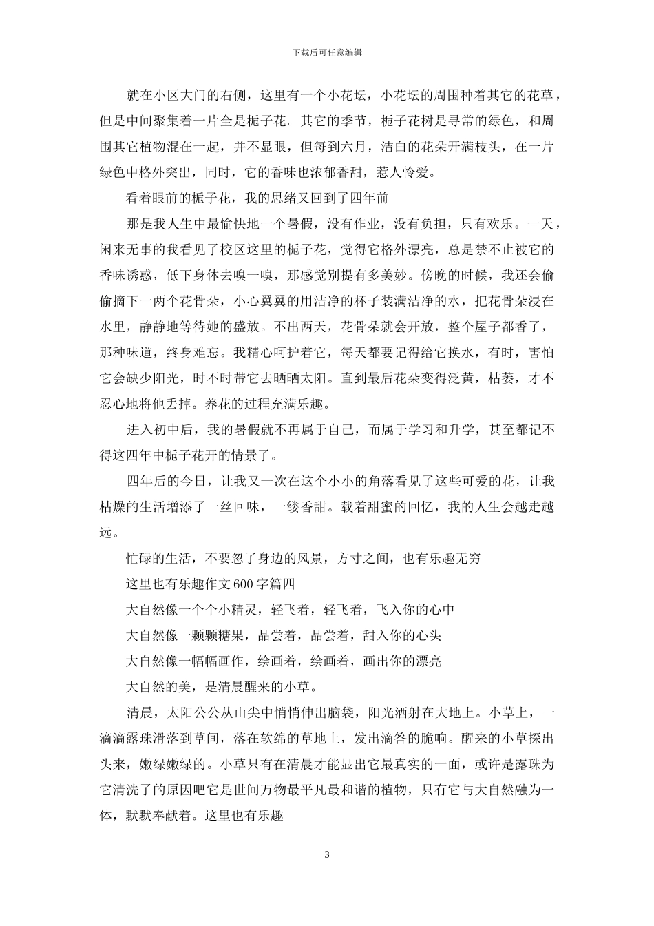 这里也有乐趣作文500字_第3页