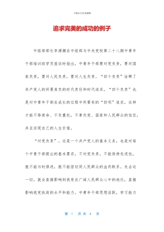 追求完美的成功的例子