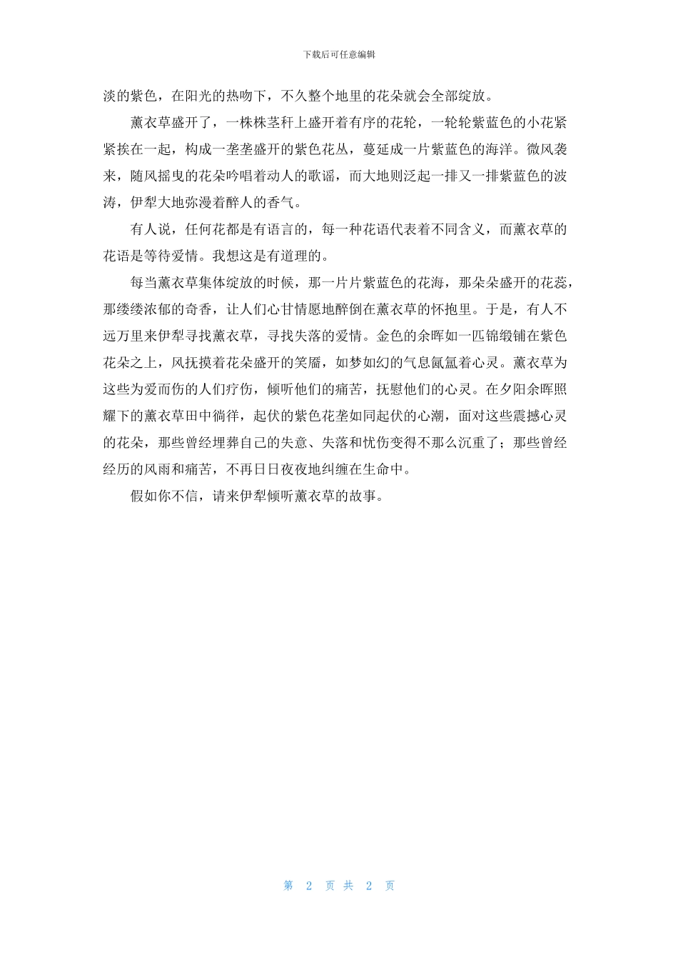 送你一束薰衣草_第2页