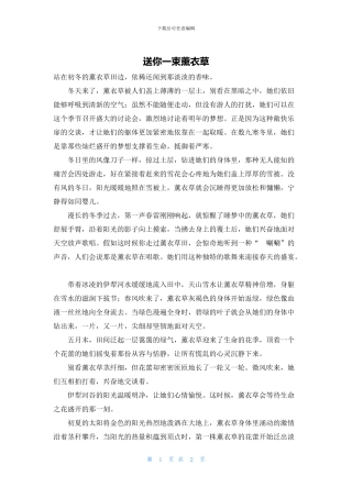 送你一束薰衣草