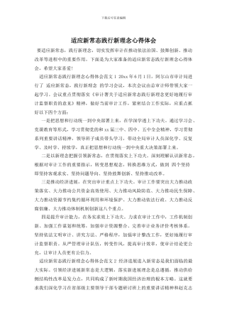 适应新常态践行新理念心得体会