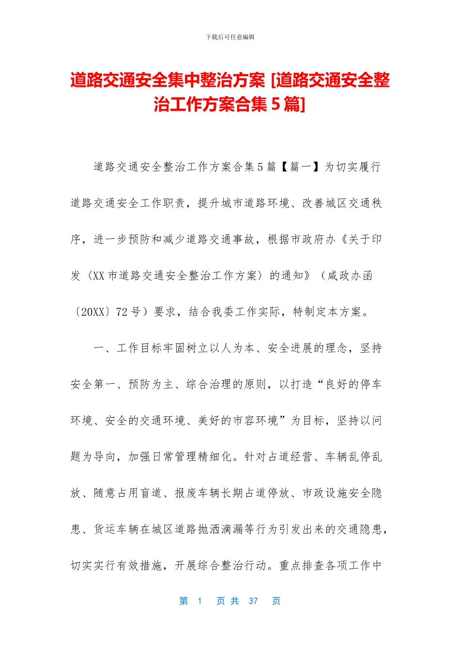 道路交通安全集中整治方案-_第1页