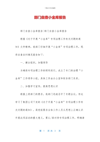 部门自查小金库报告