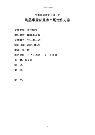 重点市场运作方案