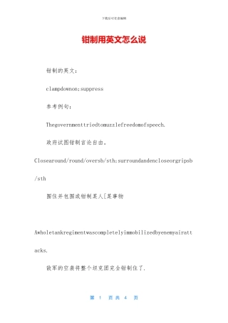 钳制用英文怎么说