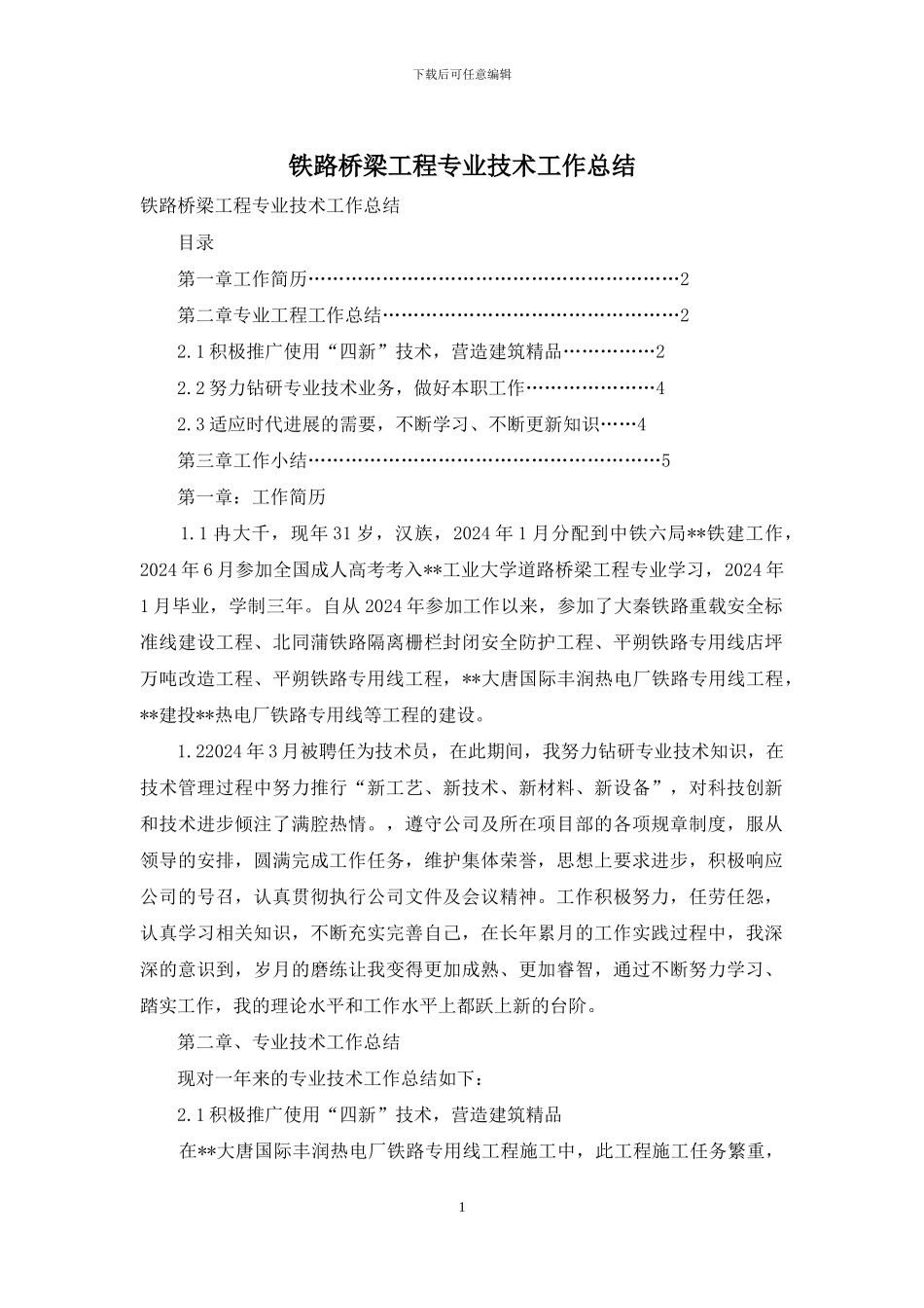 铁路桥梁工程专业技术工作总结_第1页