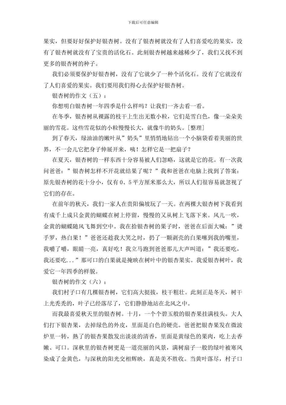 银杏树的作文20篇_第3页