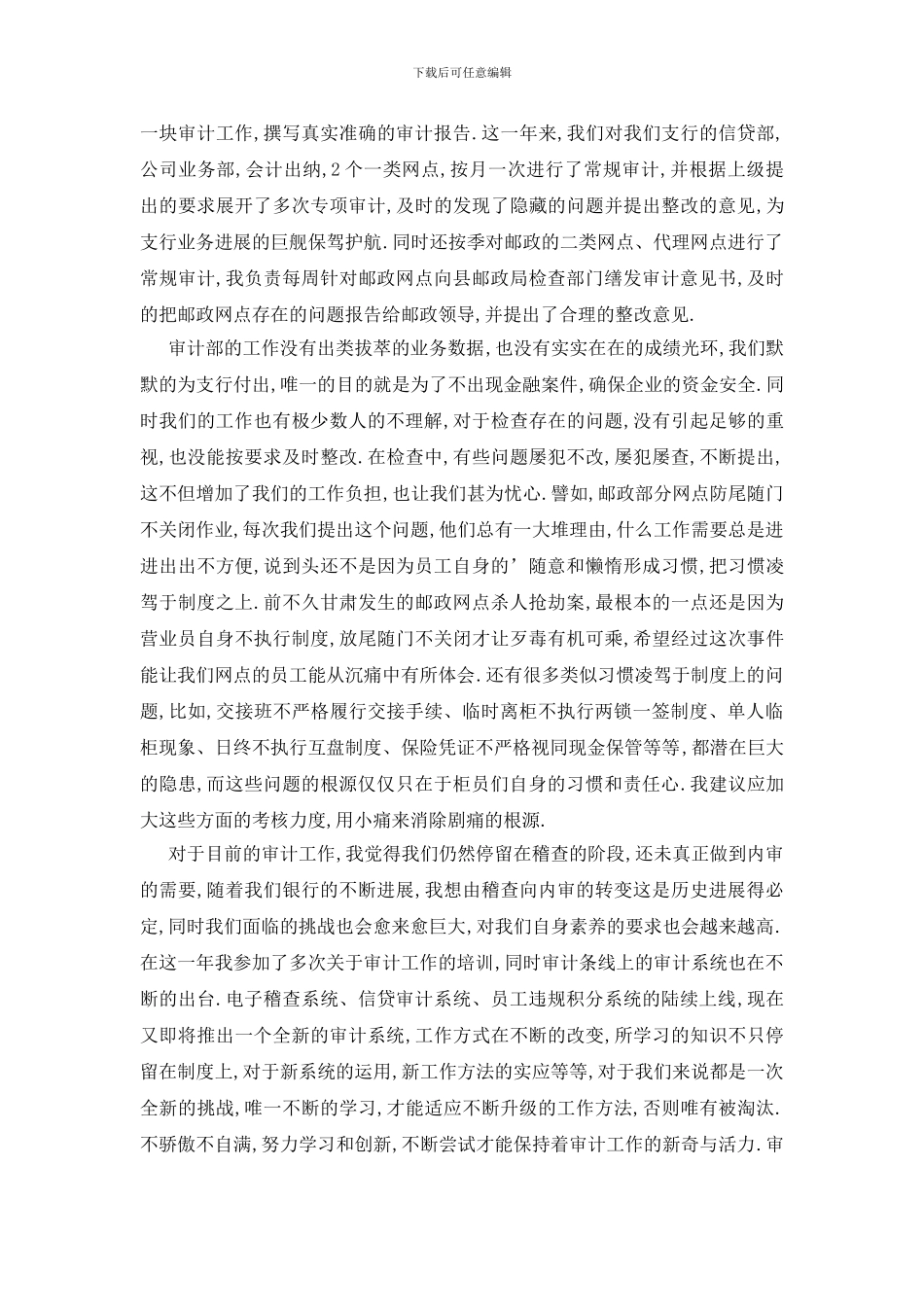 银行审计员个人工作总结_第2页