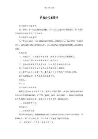 销售公司承诺书